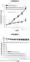 Fig. 03 - Pyrazolo[1,5-a]pyrimidine-5,7-diamine compounds as CDK inhibitors and their therapeutic use