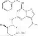 Fig. 174 - Pyrazolo[1,5-a]pyrimidine-5,7-diamine compounds as CDK inhibitors and their therapeutic use