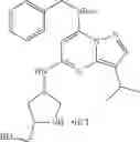 Fig. 177 - Pyrazolo[1,5-a]pyrimidine-5,7-diamine compounds as CDK inhibitors and their therapeutic use