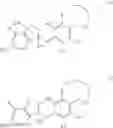 Fig. 03 - Macrocyclic immunomodulators