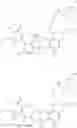 Fig. 11 - Macrocyclic immunomodulators