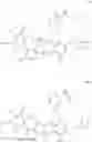 Fig. 14 - Macrocyclic immunomodulators
