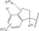 Fig. 26 - Macrocyclic immunomodulators