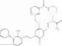 Fig. 58 - Macrocyclic immunomodulators