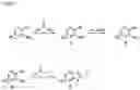 Fig. 02 - Synthetic processes and synthetic intermediates
