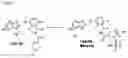 Fig. 05 - Synthetic processes and synthetic intermediates