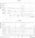 Fig. 11 - Solid forms of substituted benzoxaborole and compositions thereof