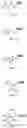 Fig. 09 - Degradable polymers of a cyclic silyl ether and uses thereof