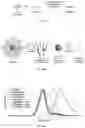 Fig. 54 - Degradable polymers of a cyclic silyl ether and uses thereof