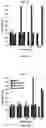Fig. 55 - Degradable polymers of a cyclic silyl ether and uses thereof