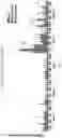Fig. 60 - Degradable polymers of a cyclic silyl ether and uses thereof