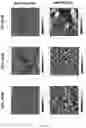 Fig. 88 - Degradable polymers of a cyclic silyl ether and uses thereof