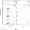 Fig. 90 - Degradable polymers of a cyclic silyl ether and uses thereof