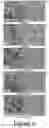 Fig. 13 - Perovskite nanocrystals and methods of making the same