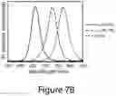 Fig. 15 - Perovskite nanocrystals and methods of making the same