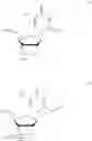 Fig. 04 - Nucleic acid compound and oligonucleotide