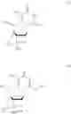 Fig. 16 - Nucleic acid compound and oligonucleotide