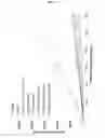 Fig. 05 - Phosphotriazole MRNA 5′-end cap analogs, composition comprising the same, RNA molecule incorporating the same, uses thereof and method of synthesizing RNA molecule, protein or peptide
