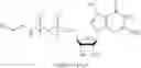 Fig. 25 - Phosphotriazole MRNA 5′-end cap analogs, composition comprising the same, RNA molecule incorporating the same, uses thereof and method of synthesizing RNA molecule, protein or peptide