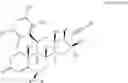 Fig. 22 - Inhibitors of glucocorticoid receptor