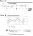 Fig. 03 - Purification of an agent of interest
