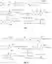 Fig. 05 - COMPOUNDS HAVING TRIPLE ACTIVITIES OF THROMBOLYSIS, ANTITHROMBOTIC AND RADICAL SCAVENGING