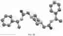 Fig. 05 - MODIFIED PEPTOIDS