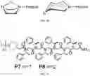 Fig. 09 - MODIFIED PEPTOIDS