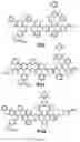 Fig. 19 - MODIFIED PEPTOIDS