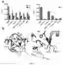 Fig. 09 - Split inteins with exceptional splicing activity