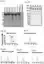Fig. 03 - Signature-based human immunodeficiency virus (HIV) envelope (Env) trimer vaccines and methods of using the same