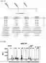 Fig. 04 - Signature-based human immunodeficiency virus (HIV) envelope (Env) trimer vaccines and methods of using the same