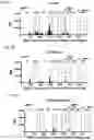 Fig. 06 - Signature-based human immunodeficiency virus (HIV) envelope (Env) trimer vaccines and methods of using the same