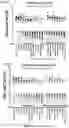 Fig. 10 - Signature-based human immunodeficiency virus (HIV) envelope (Env) trimer vaccines and methods of using the same