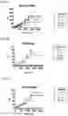 Fig. 13 - Signature-based human immunodeficiency virus (HIV) envelope (Env) trimer vaccines and methods of using the same