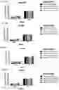 Fig. 17 - Signature-based human immunodeficiency virus (HIV) envelope (Env) trimer vaccines and methods of using the same