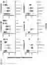 Fig. 25 - Signature-based human immunodeficiency virus (HIV) envelope (Env) trimer vaccines and methods of using the same