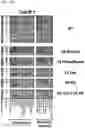 Fig. 33 - Signature-based human immunodeficiency virus (HIV) envelope (Env) trimer vaccines and methods of using the same