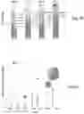 Fig. 07 - Methods for rule-based genome design
