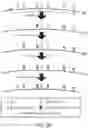 Fig. 41 - Methods for rule-based genome design