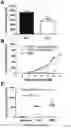 Fig. 04 - and immunogenic composition containing the same as well as its use