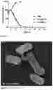 Fig. 09 - and immunogenic composition containing the same as well as its use