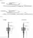 Fig. 02 - Chimeric chlorotoxin receptors