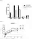 Fig. 05 - Chimeric chlorotoxin receptors