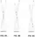 Fig. 08 - ANTIMICROBIAL KINOCIDIN COMPOSITIONS AND METHODS OF USE