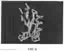 Fig. 13 - ANTIMICROBIAL KINOCIDIN COMPOSITIONS AND METHODS OF USE