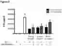 Fig. 06 - IL-37 fusion protein and methods of making and using same