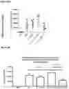 Fig. 10 - IL-37 fusion protein and methods of making and using same