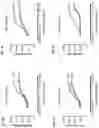 Fig. 03 - Targeted mutant interferon-gamma and uses thereof