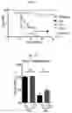 Fig. 03 - HUMAN RESISTIN COMPOSITIONS AND METHODS OF TREATING TLR4-MEDIATED DISEASE AND INFECTION